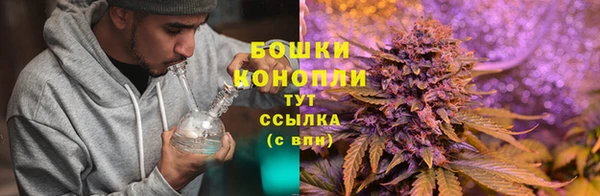 прущая мука Надым