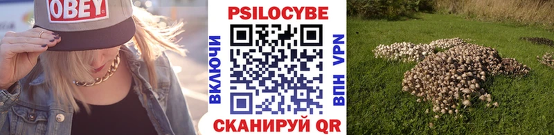 Псилоцибиновые грибы прущие грибы  купить наркотик  Яранск 